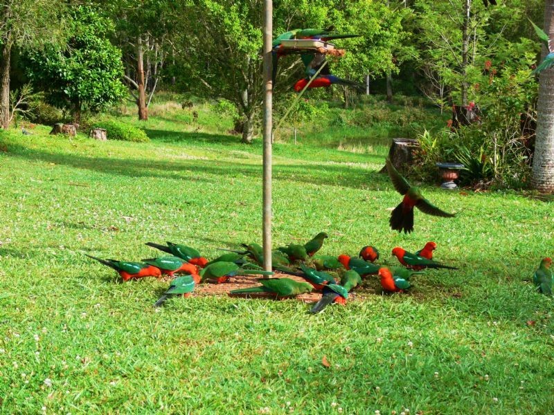 Hopkins Creek NSW 2484