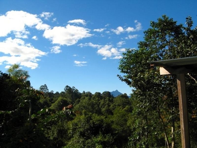 Mount Burrell NSW 2484