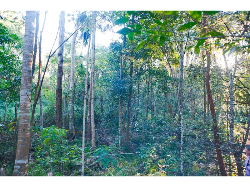 Crystal Creek NSW 2484