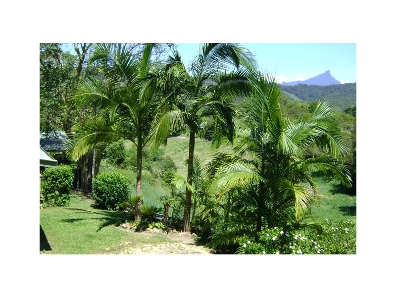 Stokers Siding NSW 2484