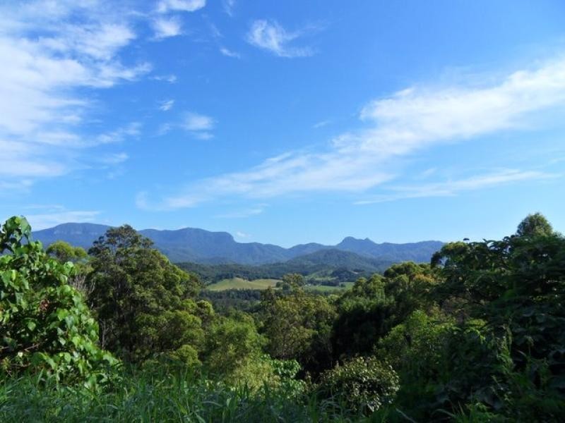 Crystal Creek NSW 2484