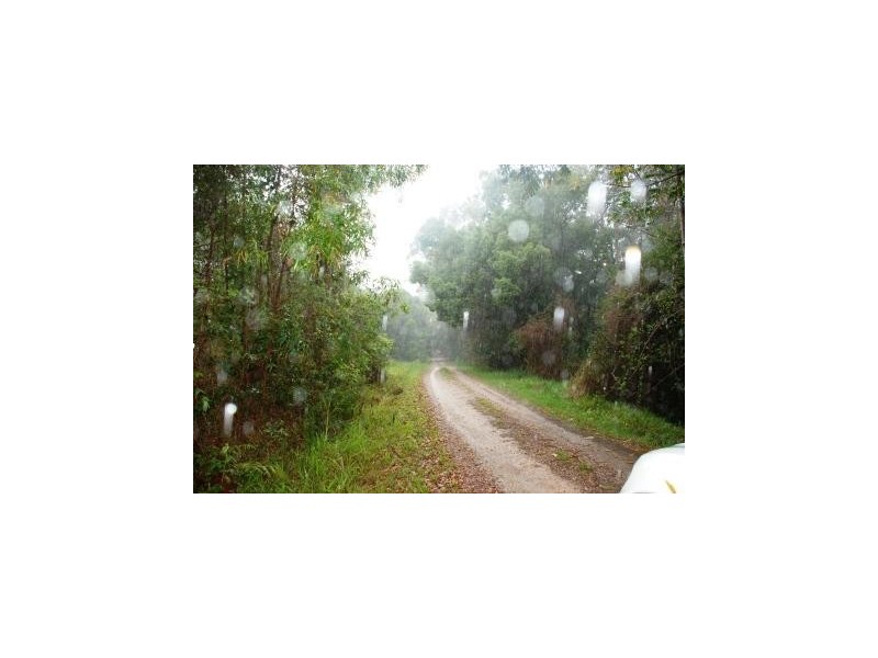 Crystal Creek NSW 2484