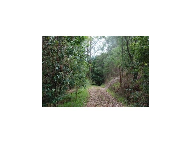 Crystal Creek NSW 2484