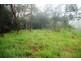 Crystal Creek NSW 2484