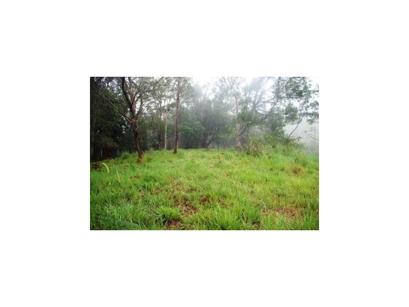 Crystal Creek NSW 2484