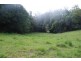Crystal Creek NSW 2484