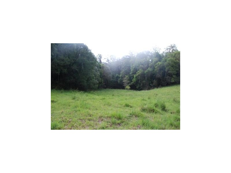 Crystal Creek NSW 2484
