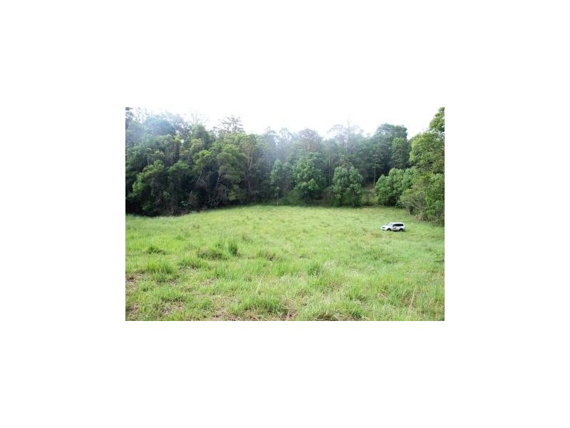 Crystal Creek NSW 2484