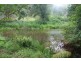 Crystal Creek NSW 2484