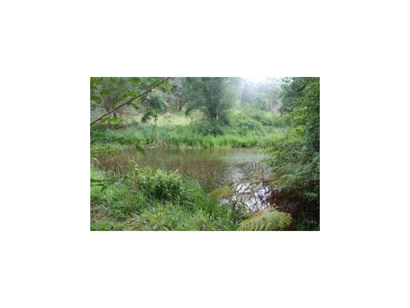Crystal Creek NSW 2484