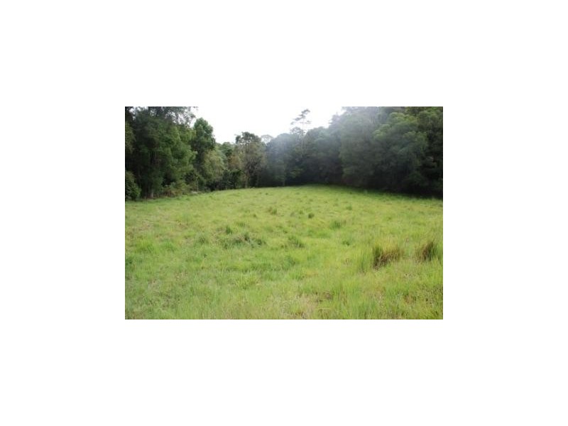 Crystal Creek NSW 2484