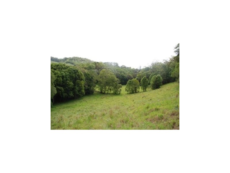 Crystal Creek NSW 2484