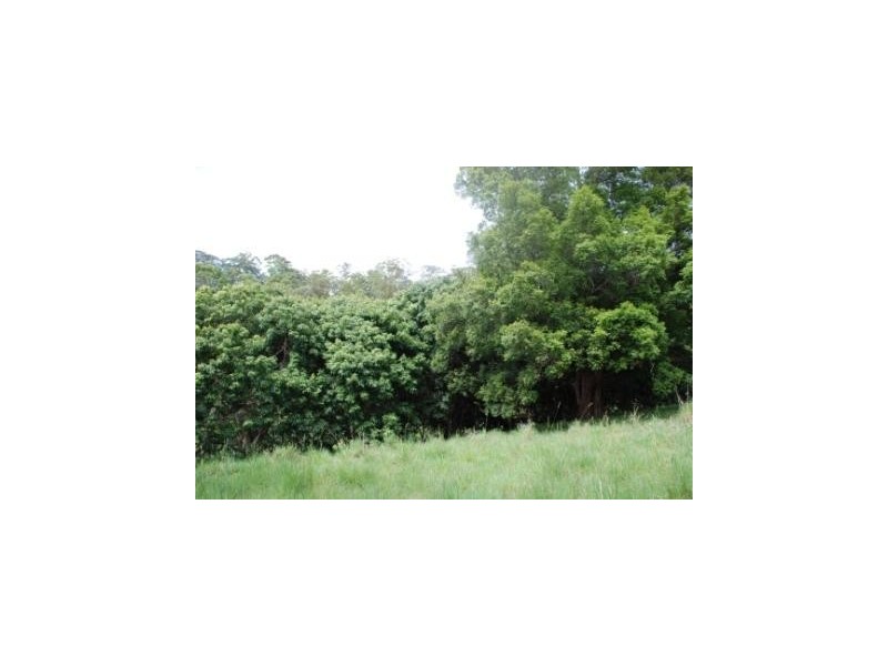 Crystal Creek NSW 2484