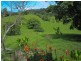 Clothiers Creek NSW 2484
