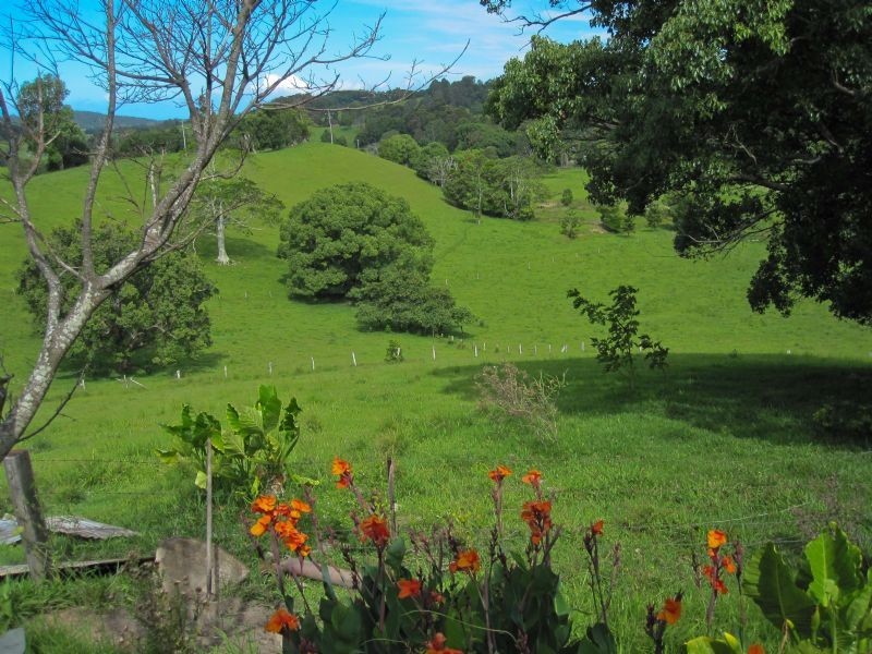 Clothiers Creek NSW 2484