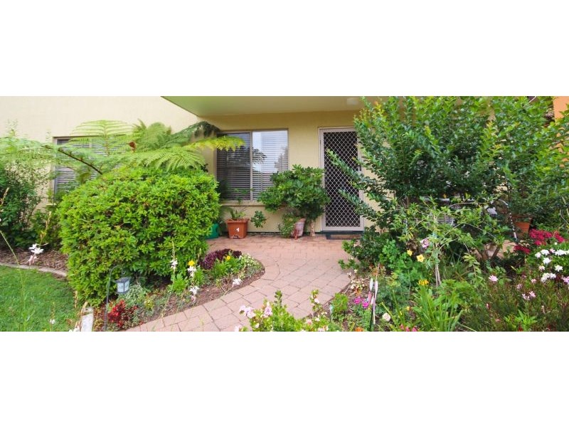 Murwillumbah NSW 2484