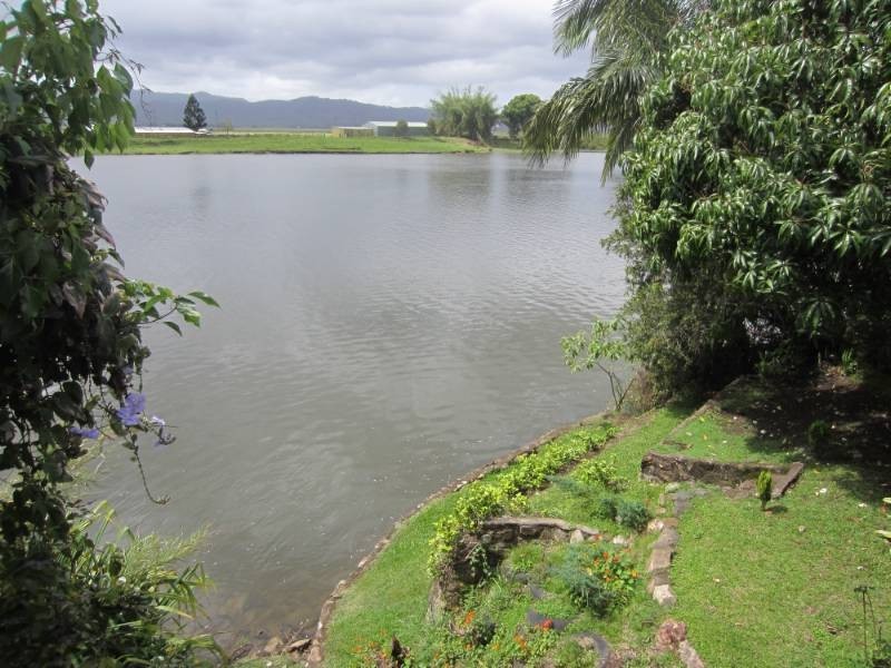 143 Tweed Valley Way, Murwillumbah NSW 2484