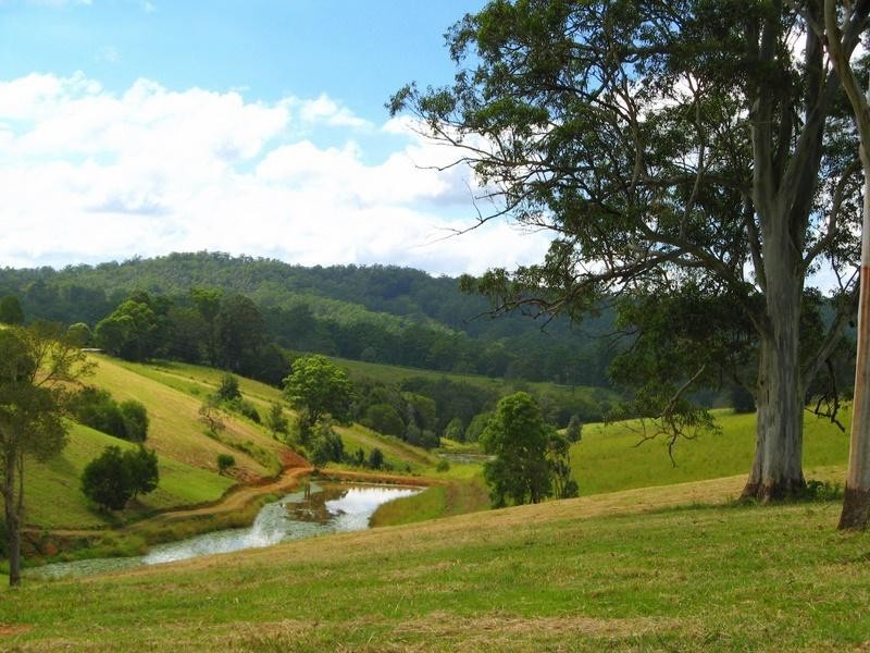 Limpinwood NSW 2484