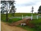 Limpinwood NSW 2484