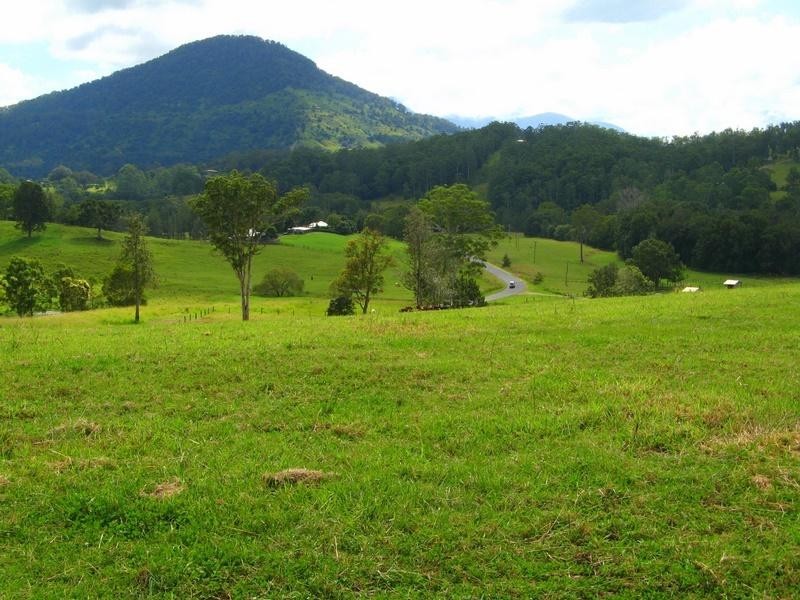 Limpinwood NSW 2484