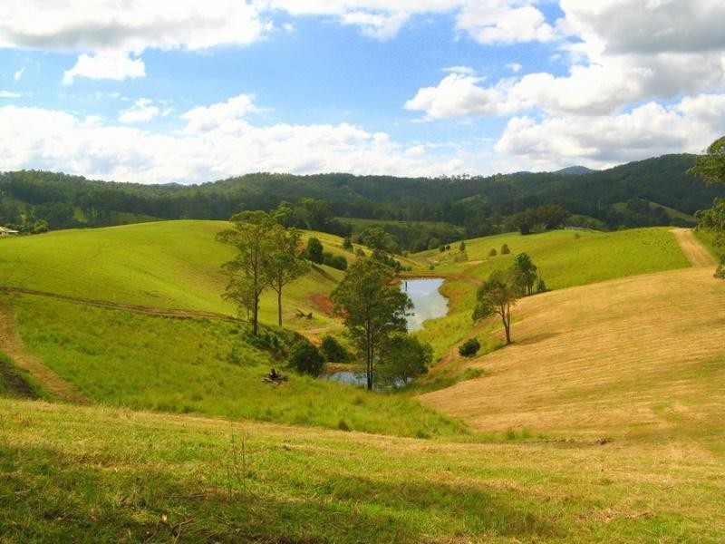 Limpinwood NSW 2484