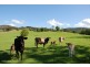 Chillingham NSW 2484