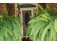 Crystal Creek NSW 2484