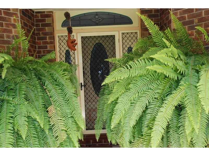 Crystal Creek NSW 2484
