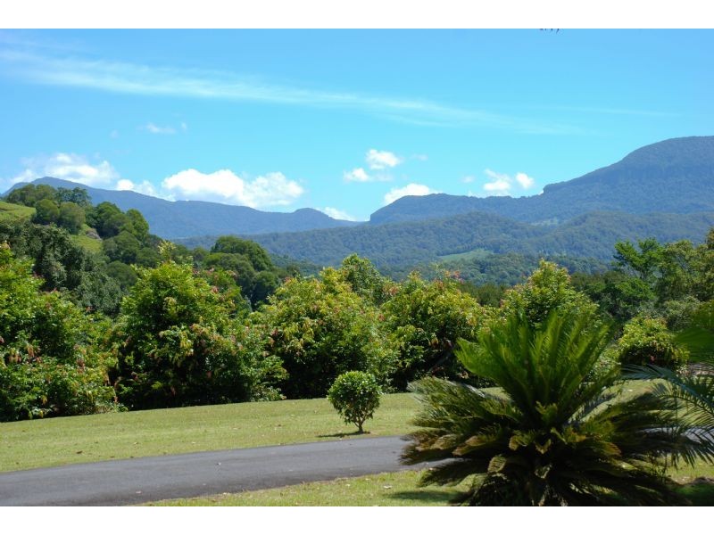 Crystal Creek NSW 2484