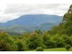 Crystal Creek NSW 2484
