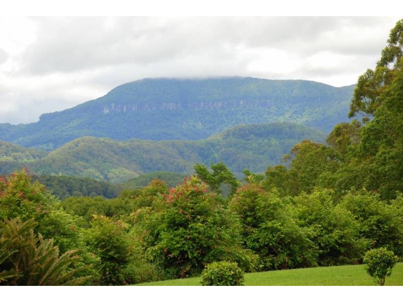 Crystal Creek NSW 2484