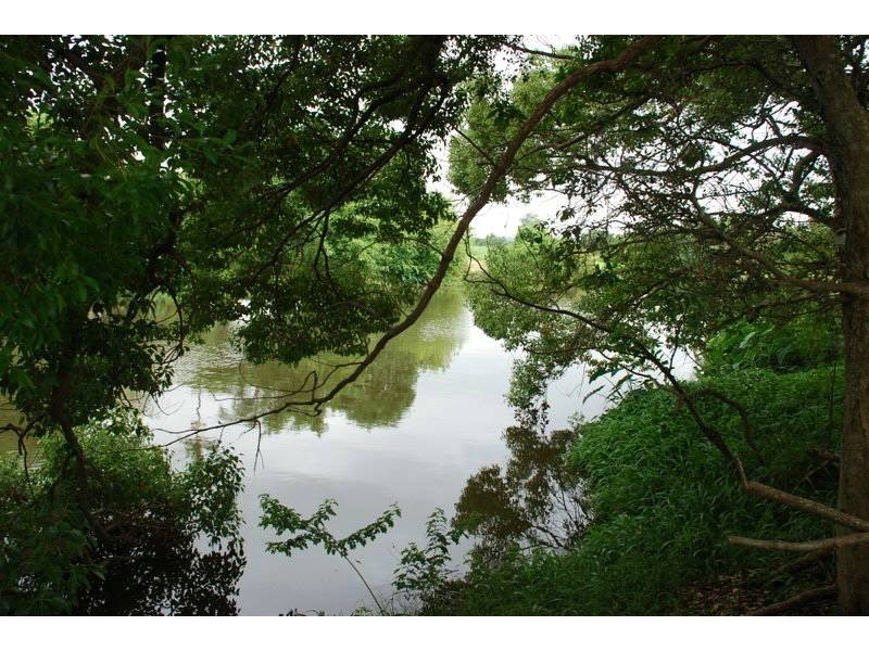 Murwillumbah NSW 2484