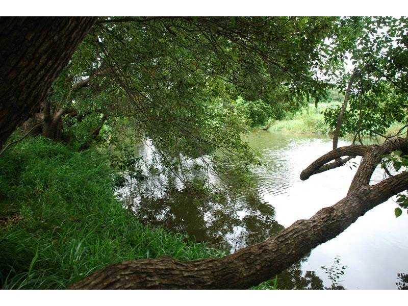 Murwillumbah NSW 2484