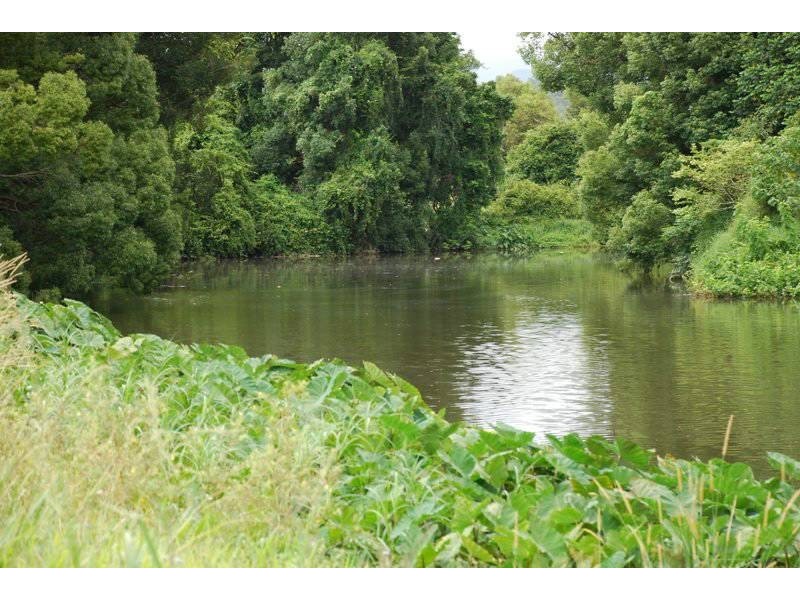 Murwillumbah NSW 2484