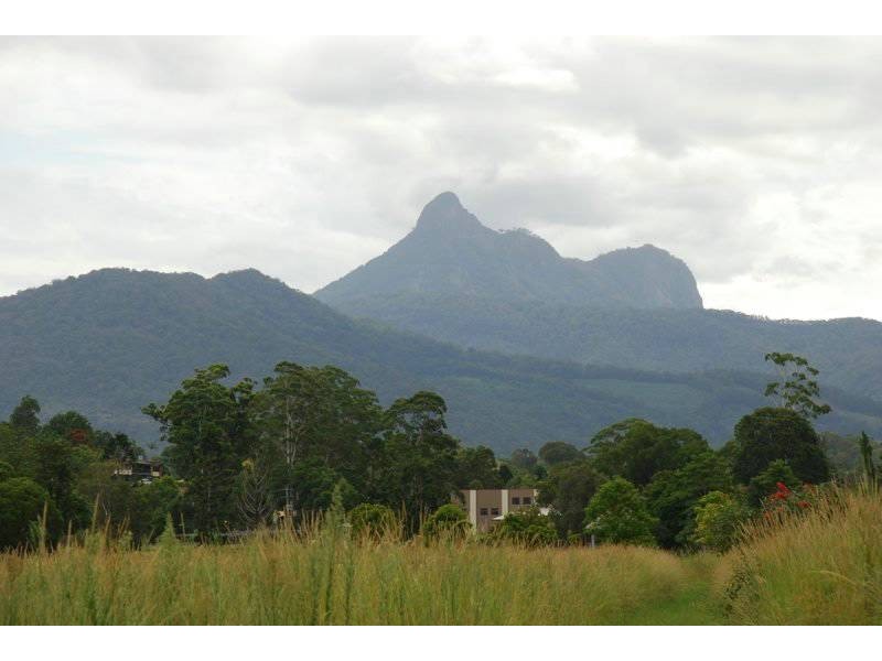 Murwillumbah NSW 2484