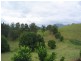 Murwillumbah NSW 2484