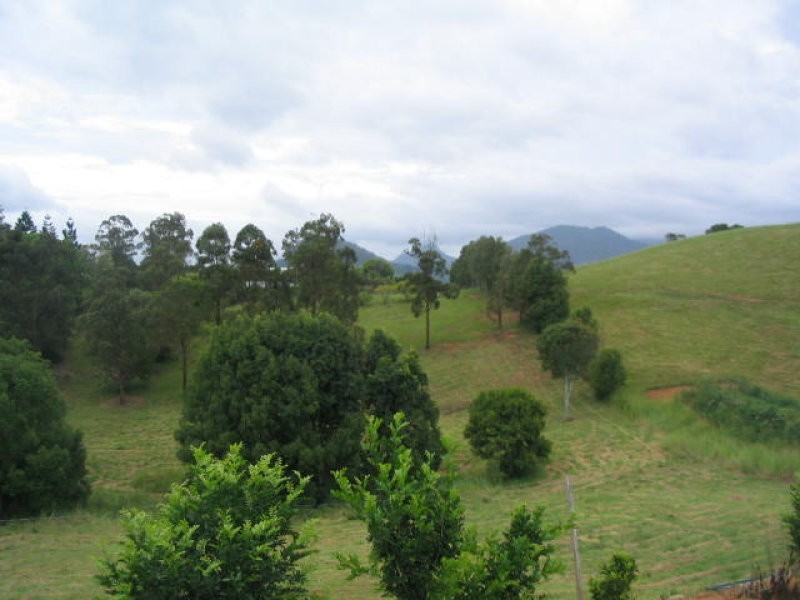 Murwillumbah NSW 2484