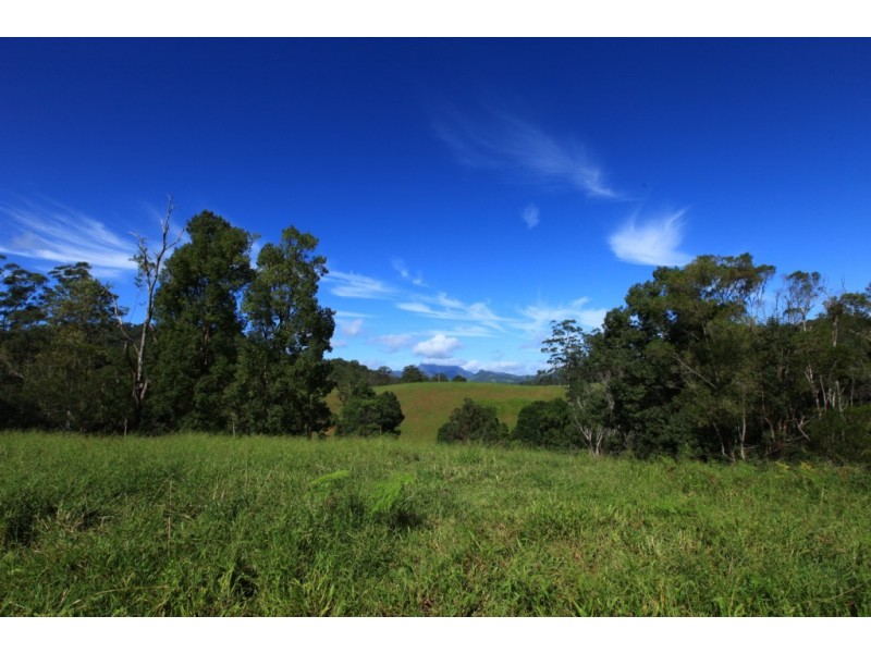 Crystal Creek NSW 2484