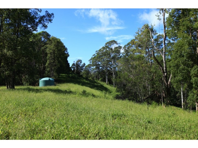 Crystal Creek NSW 2484