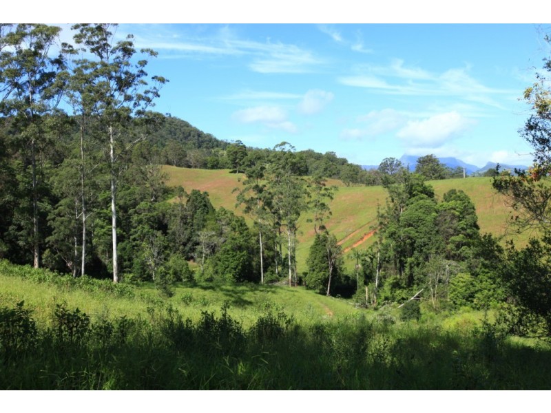 Crystal Creek NSW 2484