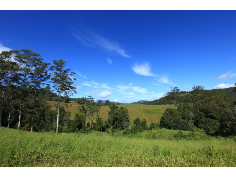 Crystal Creek NSW 2484