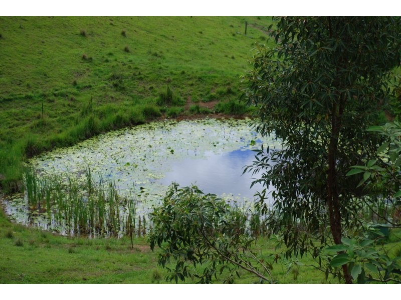 5 Benelong Place, Stokers Siding NSW 2484