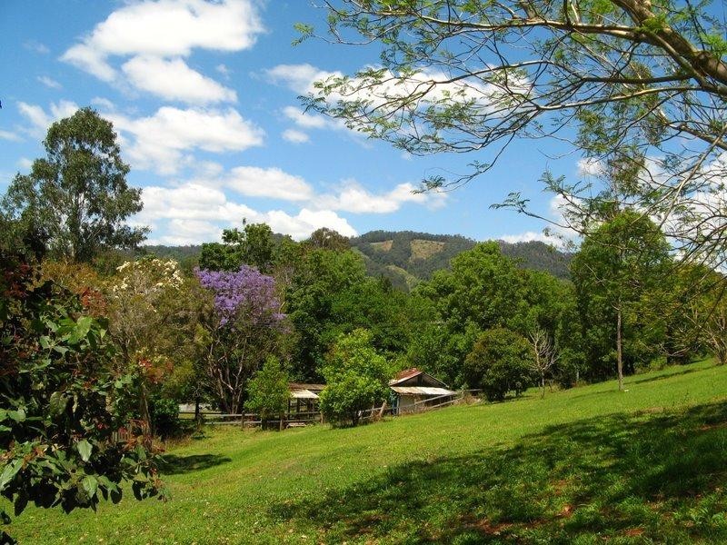 Crystal Creek NSW 2484