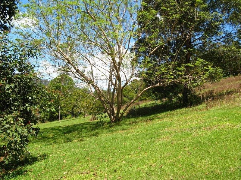 Crystal Creek NSW 2484