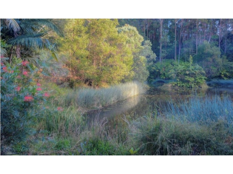 15 Palm Road, North Tumbulgum NSW 2490