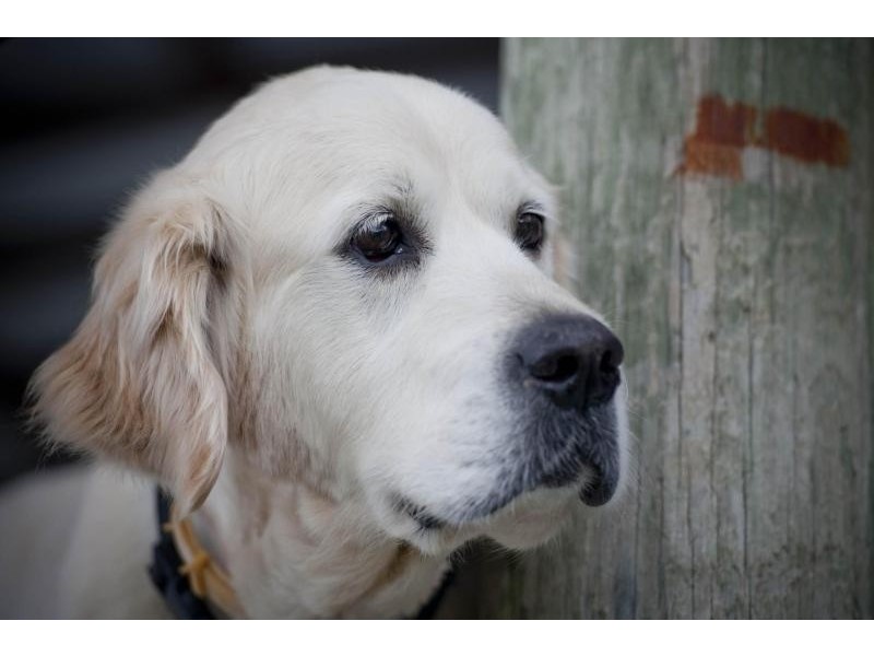 15 Palm Road, North Tumbulgum NSW 2490