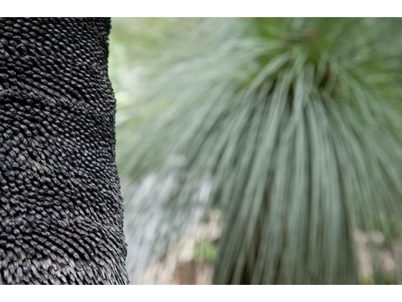 15 Palm Road, North Tumbulgum NSW 2490