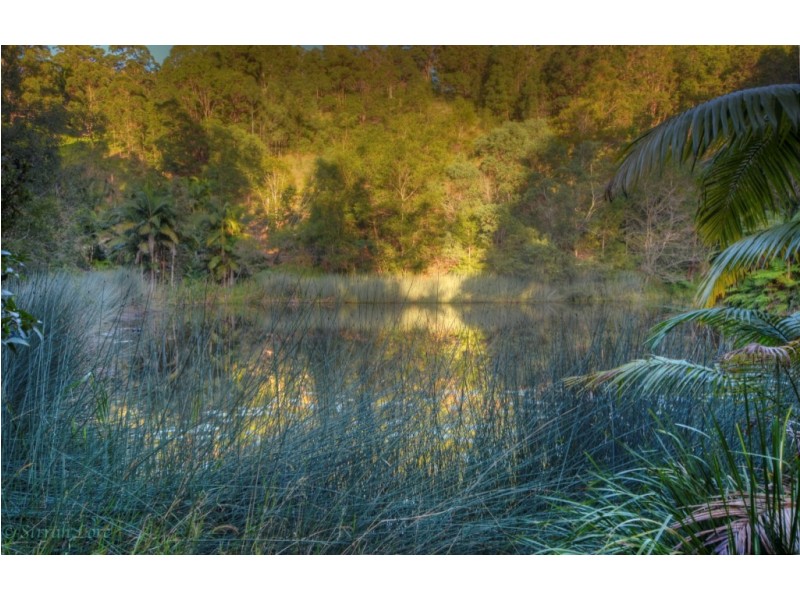 15 Palm Road, North Tumbulgum NSW 2490