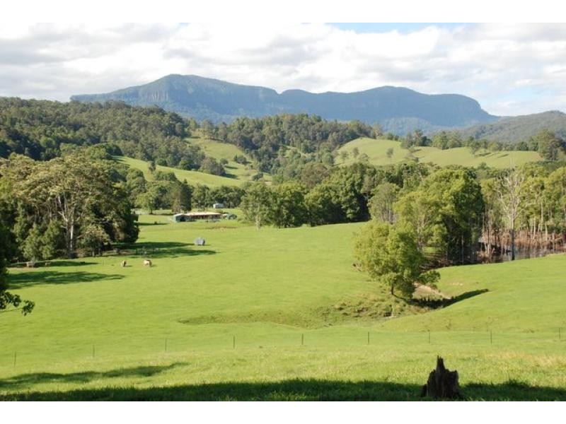 Chillingham NSW 2484