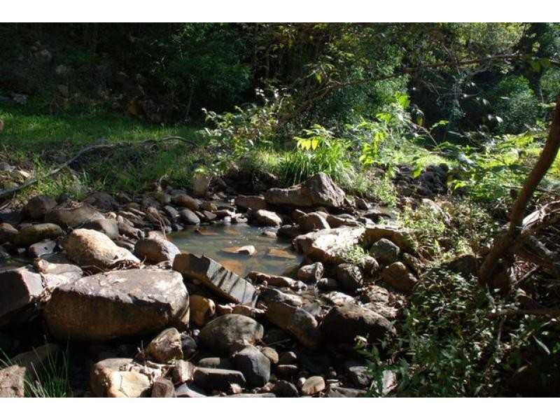 Chillingham NSW 2484